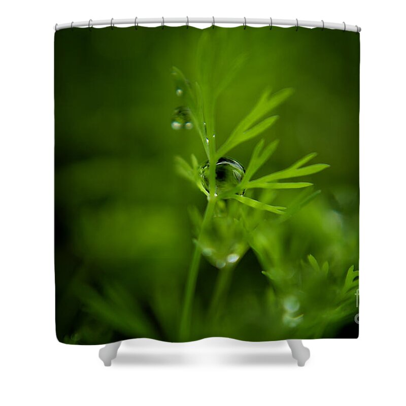 Michelle Meenawong Shower Curtain featuring the photograph The Green Drop by Michelle Meenawong
