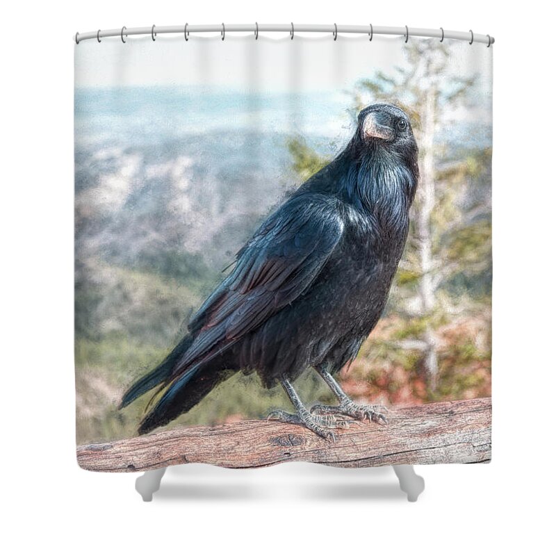 Birds Shower Curtain featuring the photograph The Guardian of Ponderosa Point by John M Bailey