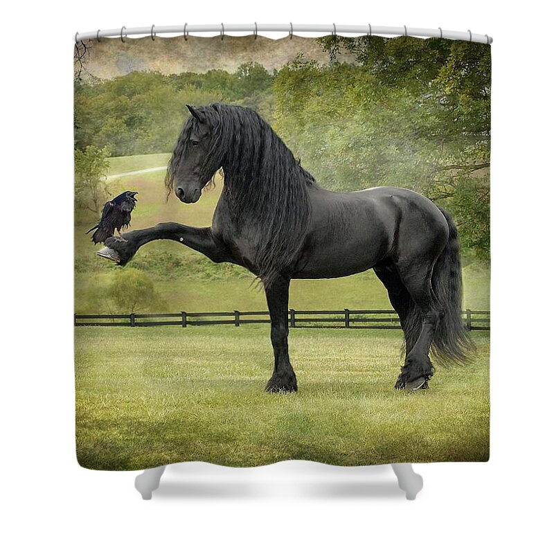 Friesian Horses Shower Curtain featuring the photograph The Harbinger by Fran J Scott