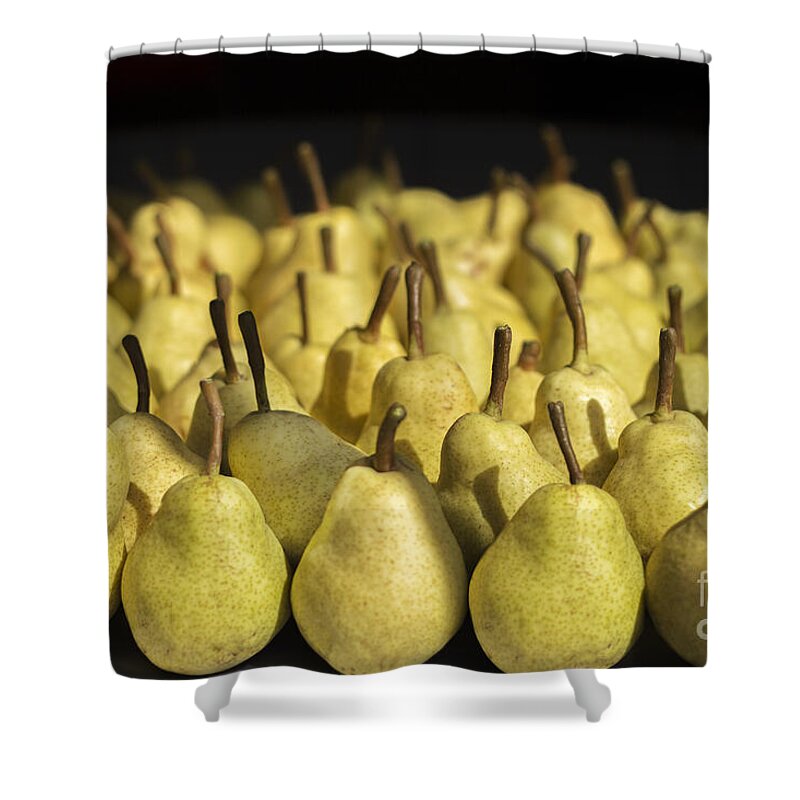 Agriculture Shower Curtain featuring the photograph The Harvest Continues by Linda Lees