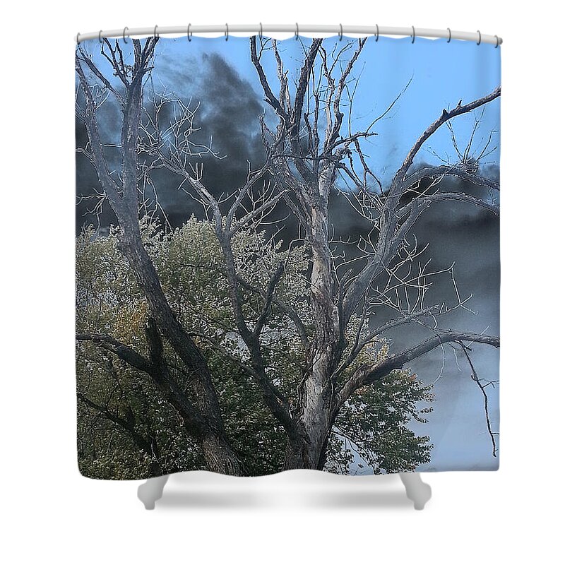 Tree Shower Curtain featuring the photograph The Height of Rodomontade by Char Szabo-Perricelli