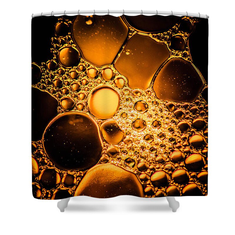 Oil Shower Curtain featuring the photograph The Hidden Treasure by Bruce Pritchett