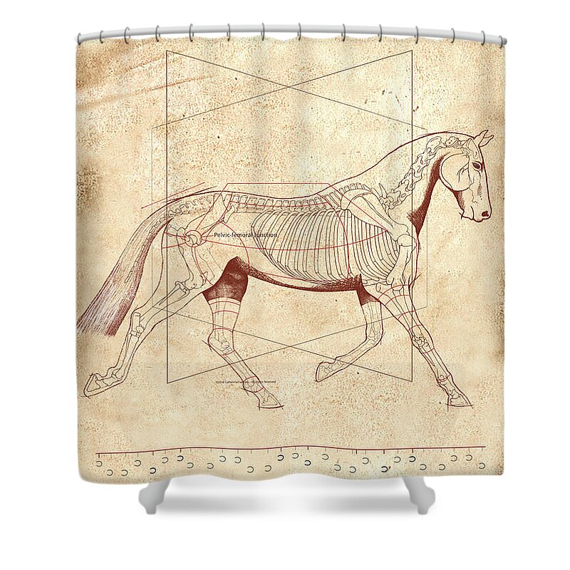 Horse Shower Curtain featuring the painting The Horse's Trot Revealed by Catherine Twomey