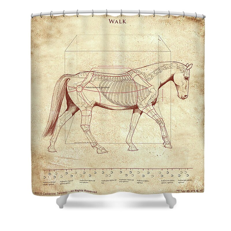Horse Shower Curtain featuring the painting The Horse's Walk Revealed by Catherine Twomey