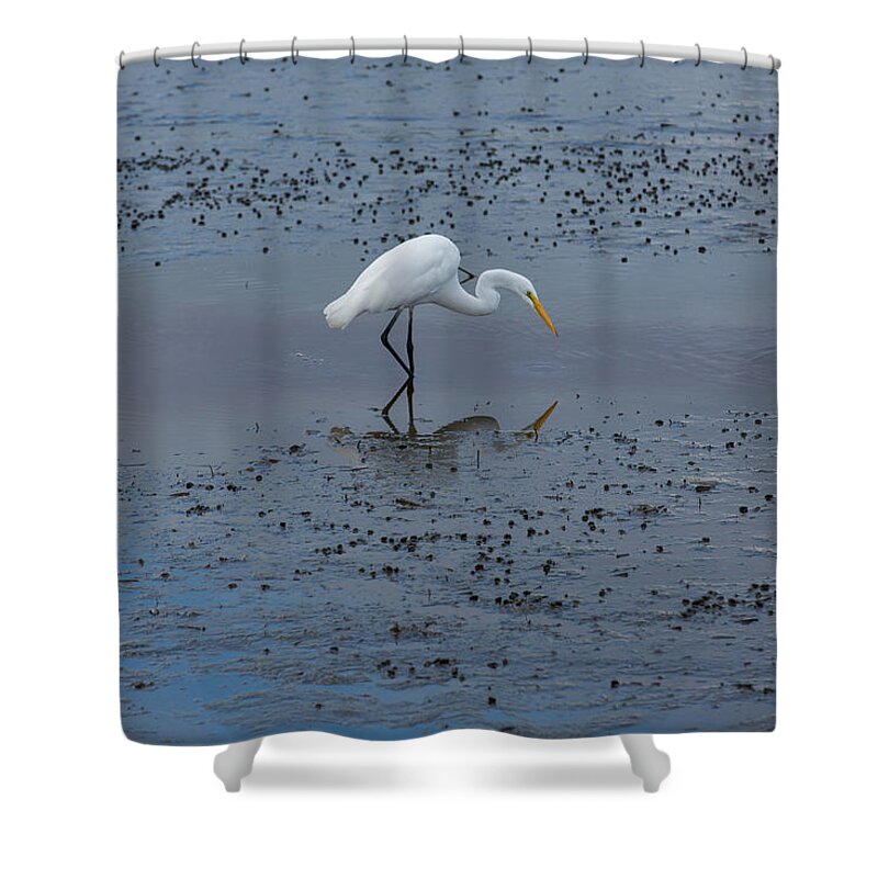 Egret Shower Curtain featuring the photograph The Hunt by Allan Morrison