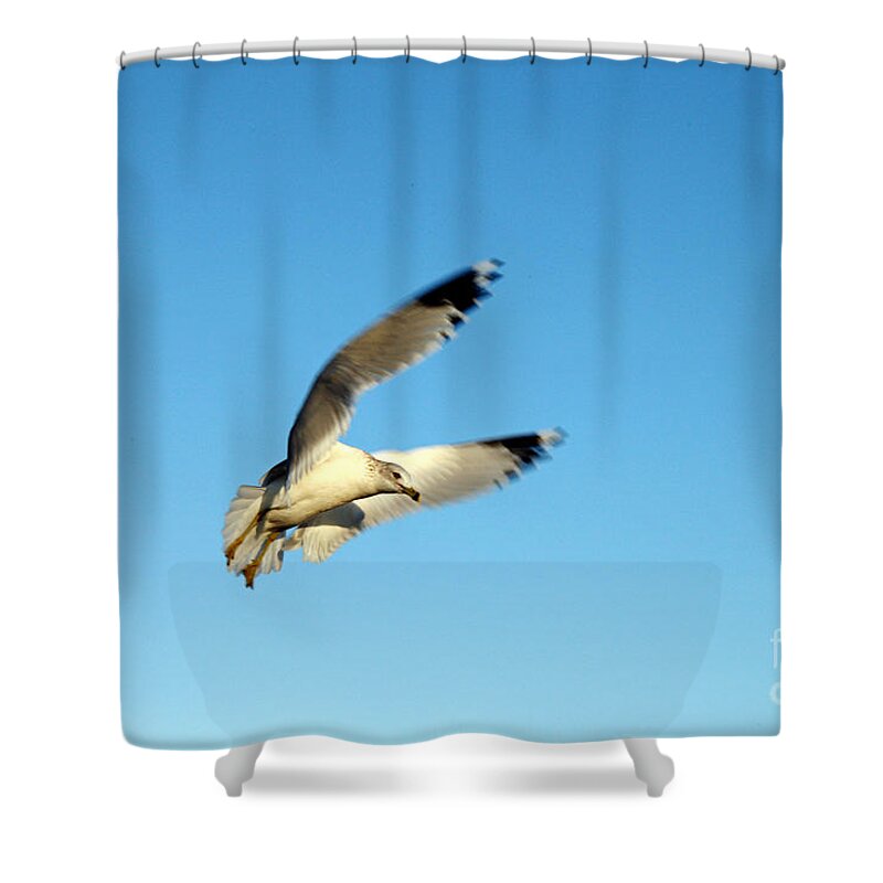 Clay Shower Curtain featuring the photograph The Hunt by Clayton Bruster