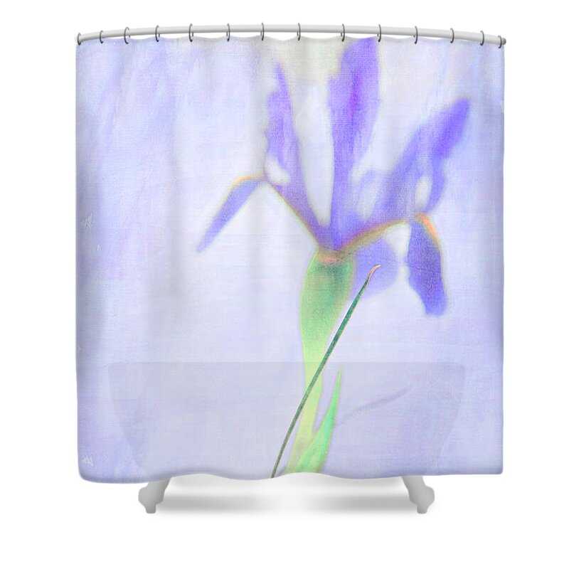 Iris Shower Curtain featuring the photograph The Iris by Theresa Tahara