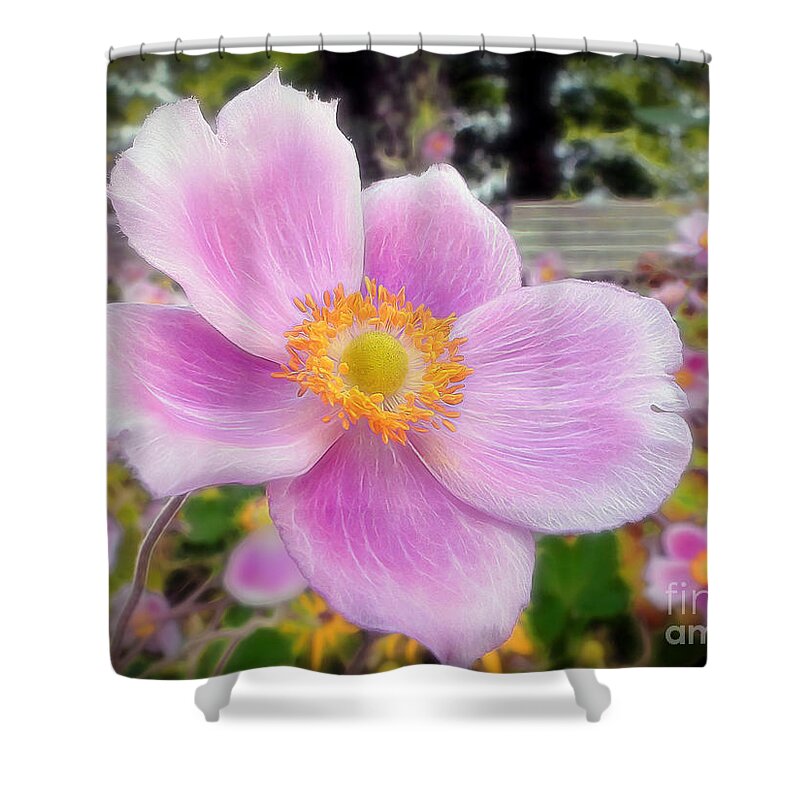 Flower Shower Curtain featuring the photograph The Jewel of the Garden by Sue Melvin