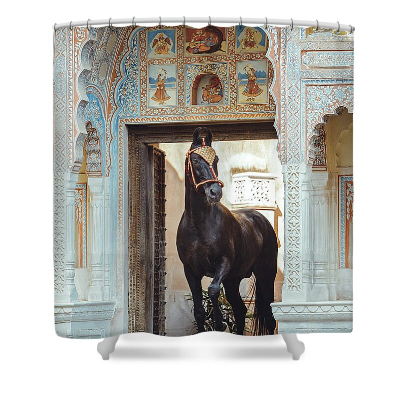 Russian Artists New Wave Shower Curtain featuring the photograph The King by Ekaterina Druz
