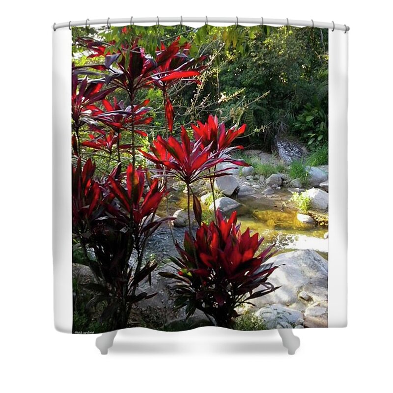 Mountains Shower Curtain featuring the photograph The Kiss Of The by David Cardona