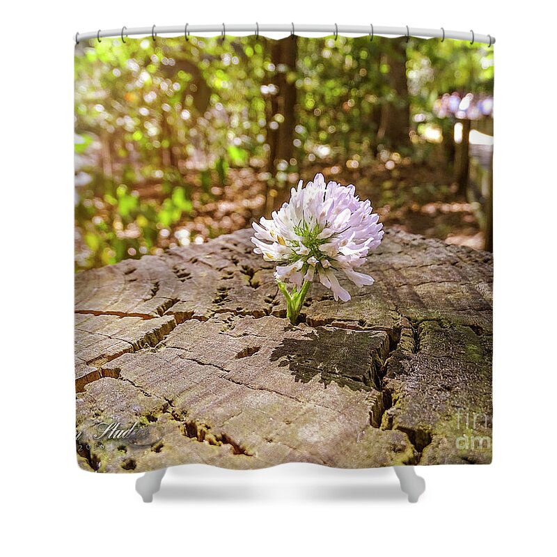 Photoshop Shower Curtain featuring the photograph The Last of Summer by Melissa Messick