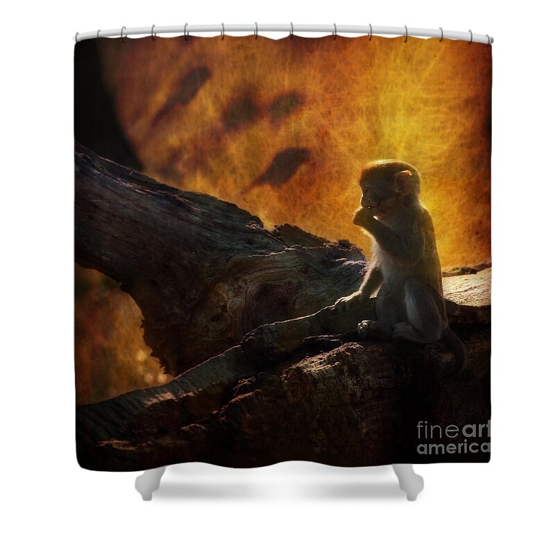 Monkey Shower Curtain featuring the photograph The Little Golumn by Ang El