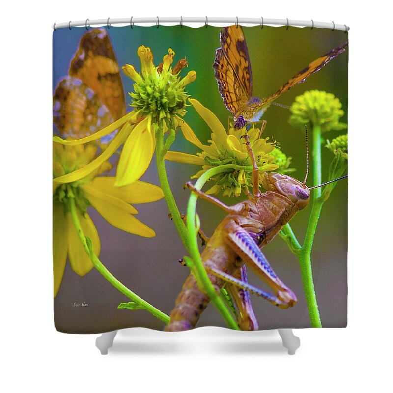 Grasshopper Shower Curtain featuring the photograph The Little Things by Betsy Knapp