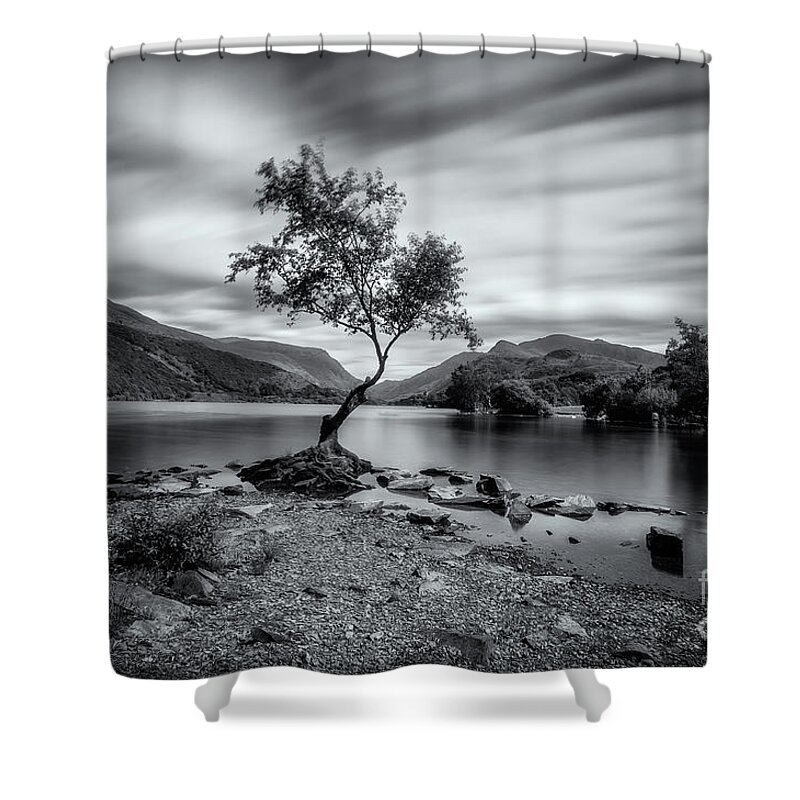 Llyn Padarn Shower Curtain featuring the photograph The lonely tree at Llyn Padarn lake - Part 2 by Mariusz Talarek