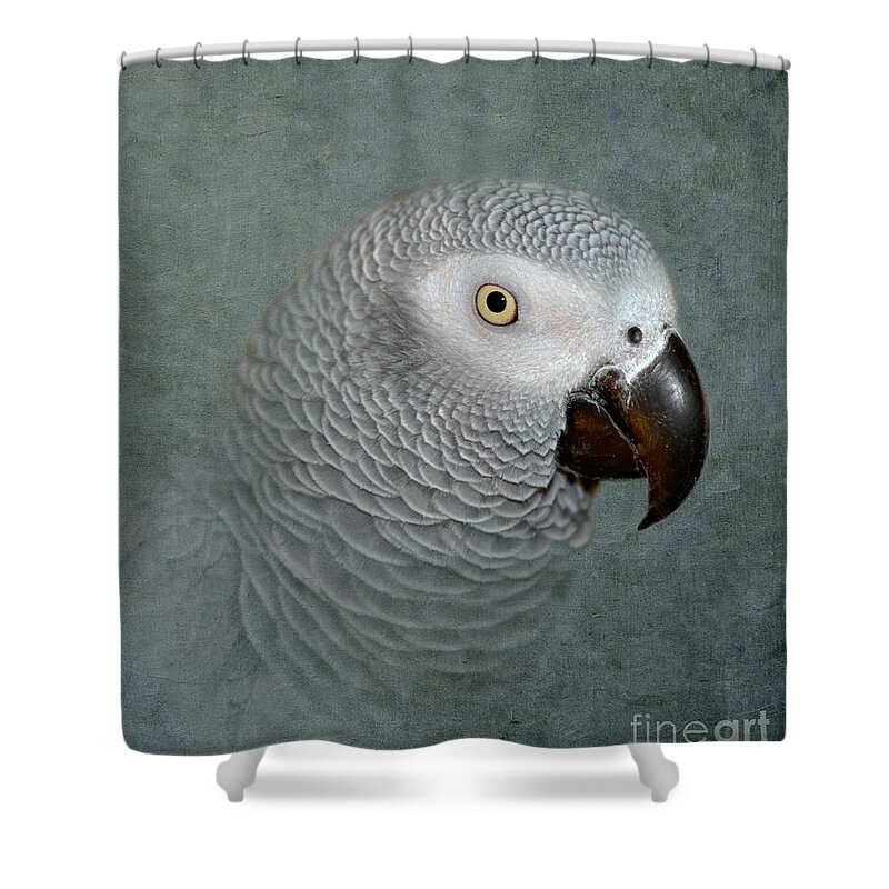 Parrot Shower Curtain featuring the photograph The Love of a Gray by Betty LaRue