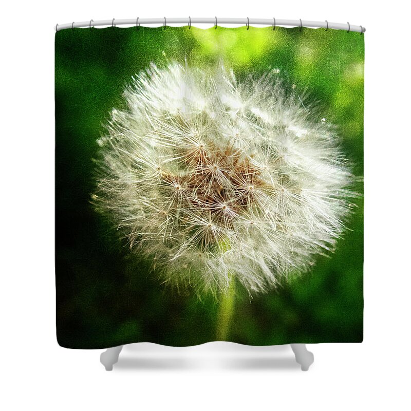 Appalachia Shower Curtain featuring the photograph The Magic of Dandelions by Debra and Dave Vanderlaan