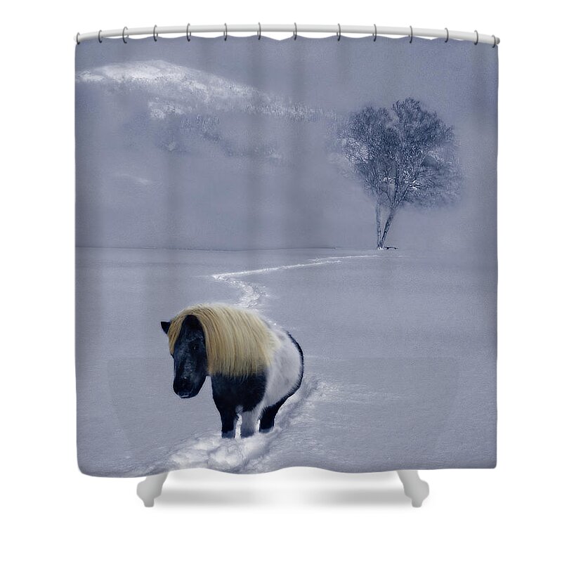 Birch Shower Curtain featuring the photograph The Mane and the Mountain by Wayne King