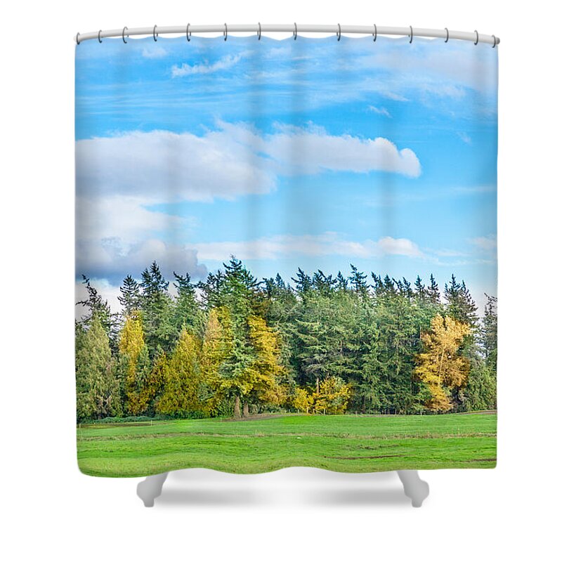 Nature Shower Curtain featuring the photograph The Meadow by Judy Wright Lott