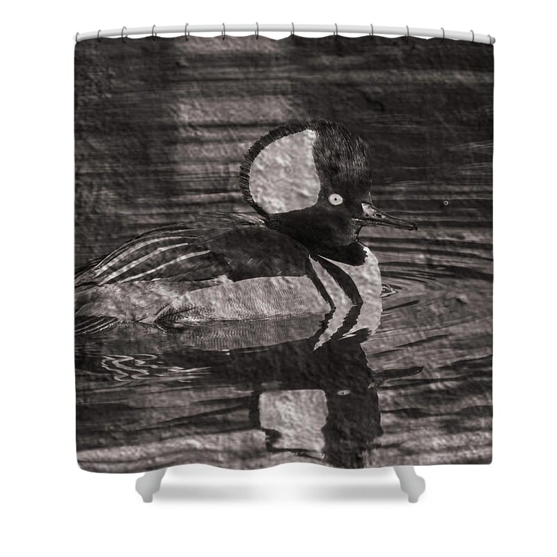 Hooded Merganser Shower Curtain featuring the photograph The Merganser by Ernest Echols