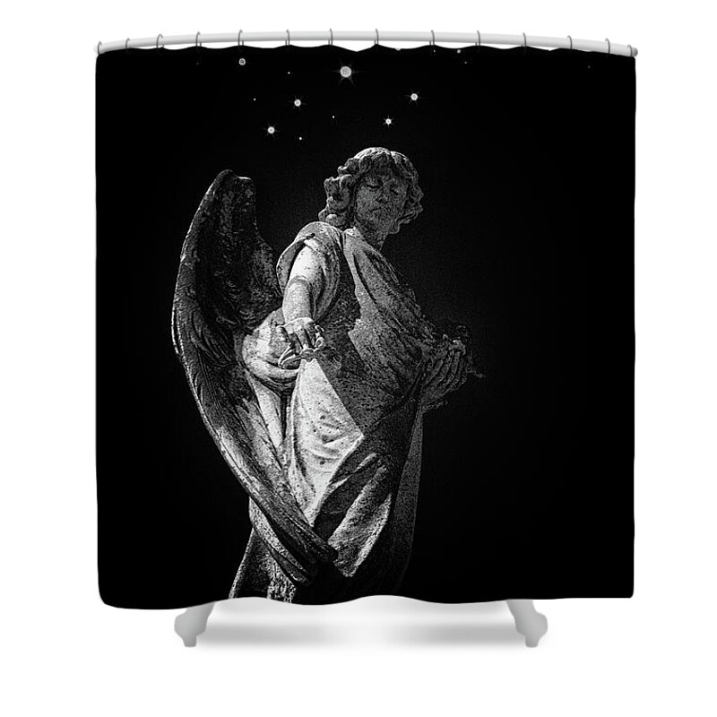 Angels Shower Curtain featuring the photograph The Messenger by Jim Cook