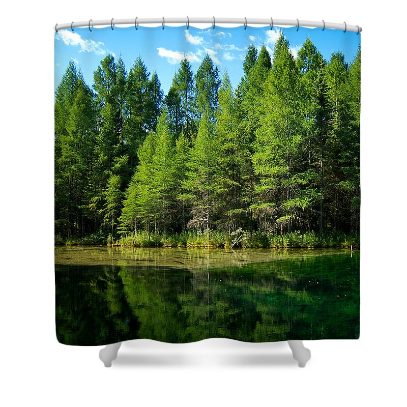 Michigan Shower Curtain featuring the photograph Trees at the Mirror of Heaven by Mary Lee Dereske