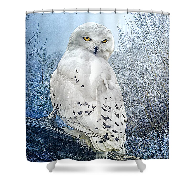 Snowy Owl Shower Curtain featuring the photograph The Mystical Snowy Owl by Brian Tarr