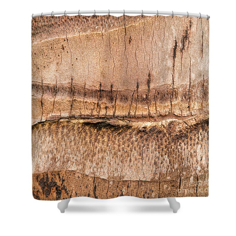 Abstracts Shower Curtain featuring the photograph The Narrow Trail by Marilyn Cornwell