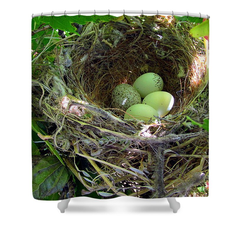 Nest Shower Curtain featuring the photograph The Next Generation by Joyce Dickens