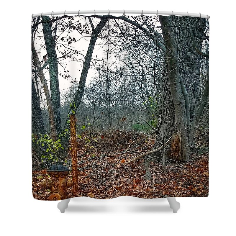 Landscape Shower Curtain featuring the photograph The Old Fire Hydrant by Mary Capriole