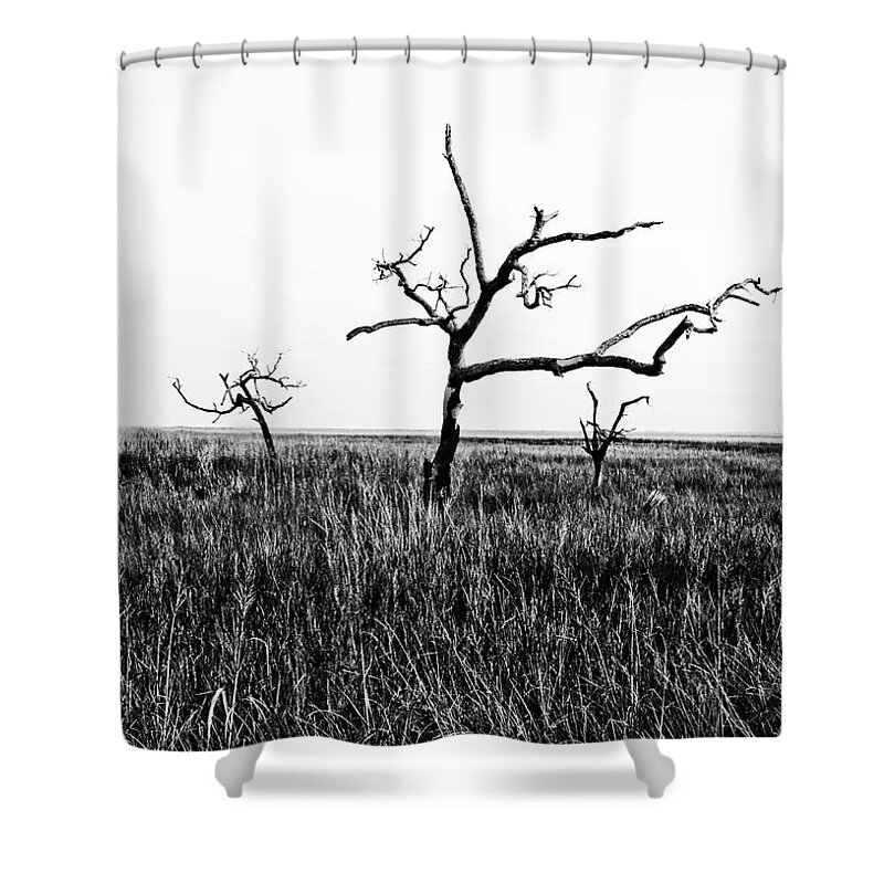 Trees Shower Curtain featuring the photograph The Old Guard by Scott Pellegrin
