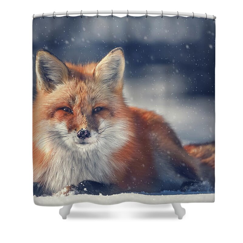 Algonquin Park Shower Curtain featuring the photograph The Old Man in the Snow by Tracy Munson