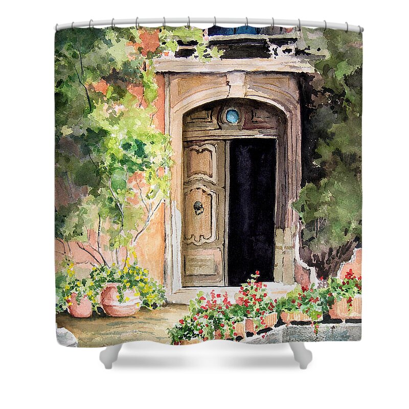 Door Shower Curtain featuring the painting The Open Door by Sam Sidders
