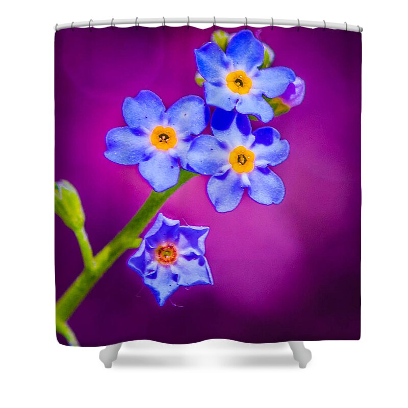 Flower Shower Curtain featuring the photograph The painted Flower by Bruce Pritchett
