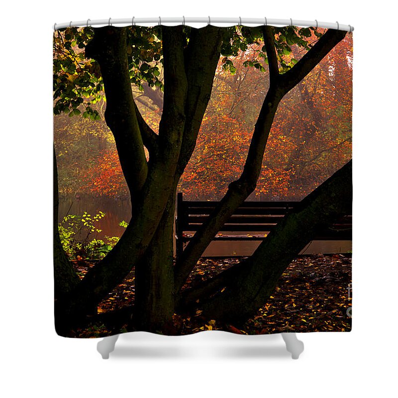 Park Bench Shower Curtain featuring the photograph The Park Bench by Martyn Arnold