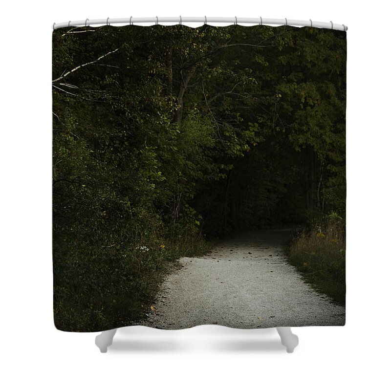 Forest Shower Curtain featuring the photograph The Path in the Darkness by Margie Hurwich