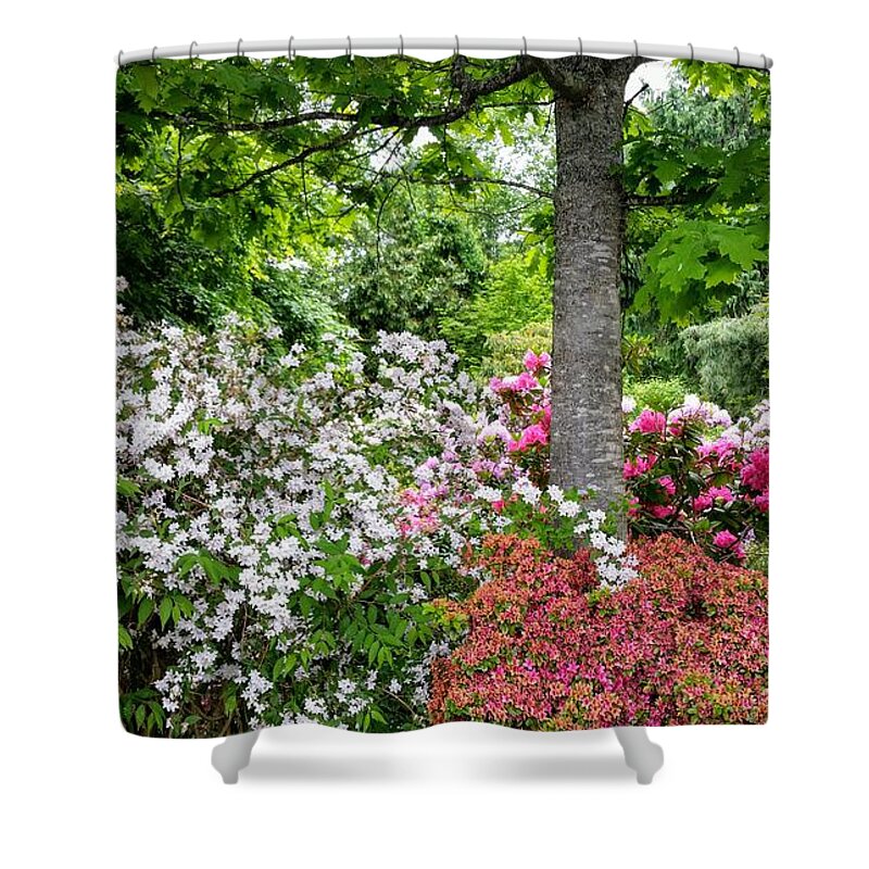 Botanical Flower's Nature Shower Curtain featuring the photograph The peaceful place 8 by Valerie Josi