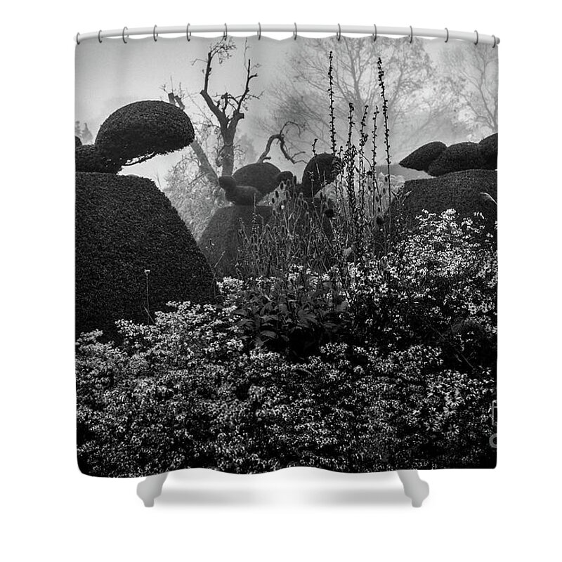 Plants Shower Curtain featuring the photograph The Peacock Garden, Great Dixter by Perry Rodriguez