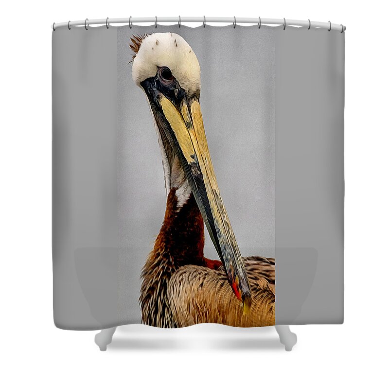 California Shower Curtain featuring the digital art The Pelican by Ernest Echols