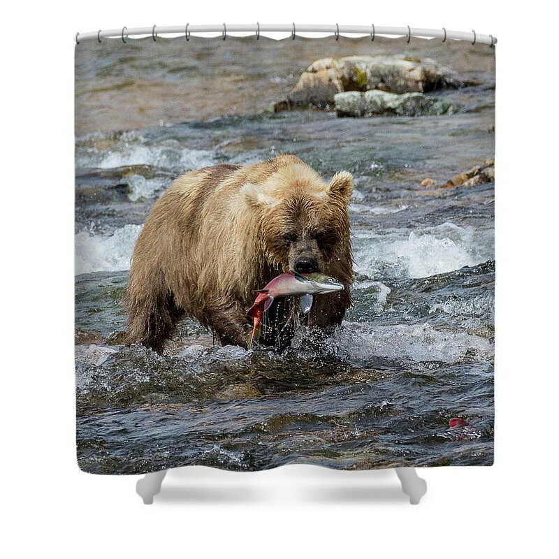 Alaska Shower Curtain featuring the photograph The Perfect Catch by Cheryl Strahl