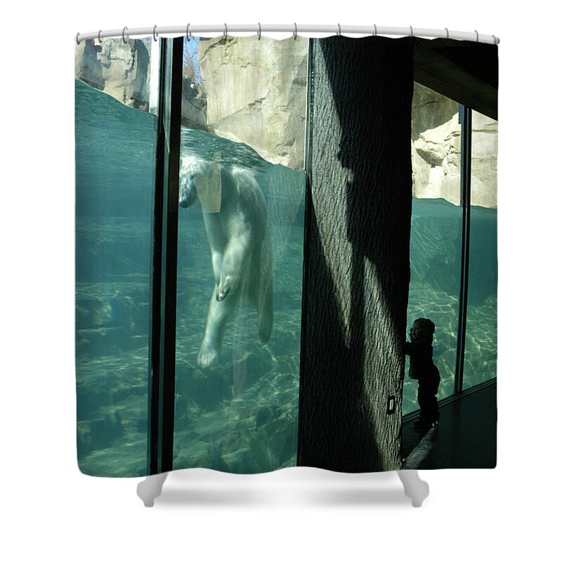 Memphis Zoo Shower Curtain featuring the photograph The Performance by DArcy Evans