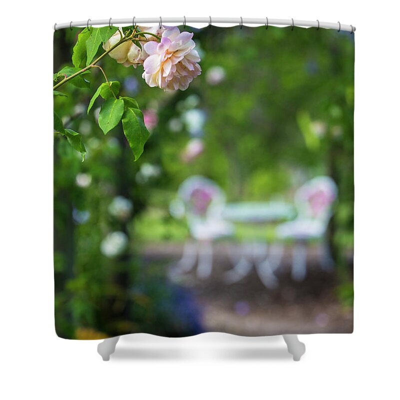 Pink Rose Shower Curtain featuring the photograph The pink rose by Sheila Smart Fine Art Photography