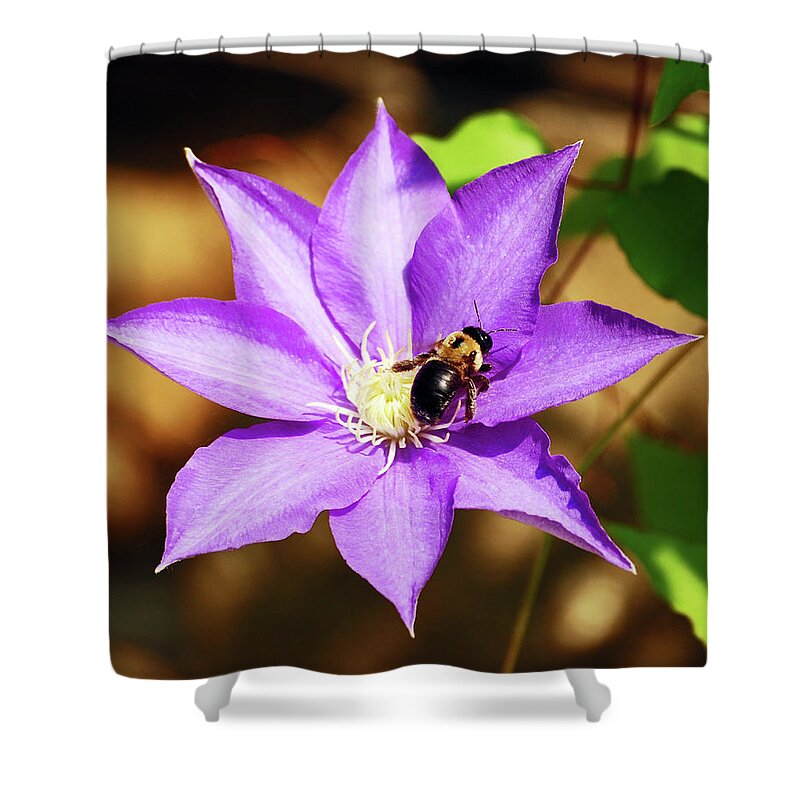 Clematis Shower Curtain featuring the photograph The Pollinator by Lori Tambakis