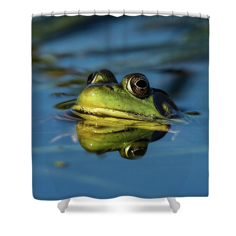 Frog Shower Curtain featuring the photograph The Prince by Jody Partin