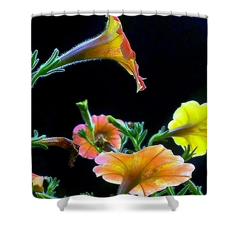Flowers Shower Curtain featuring the photograph The Profile by Dani McEvoy