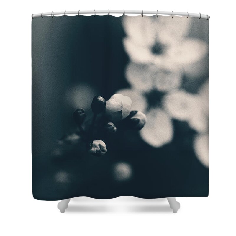 Connie Handscomb Shower Curtain featuring the photograph The Promise by Connie Handscomb