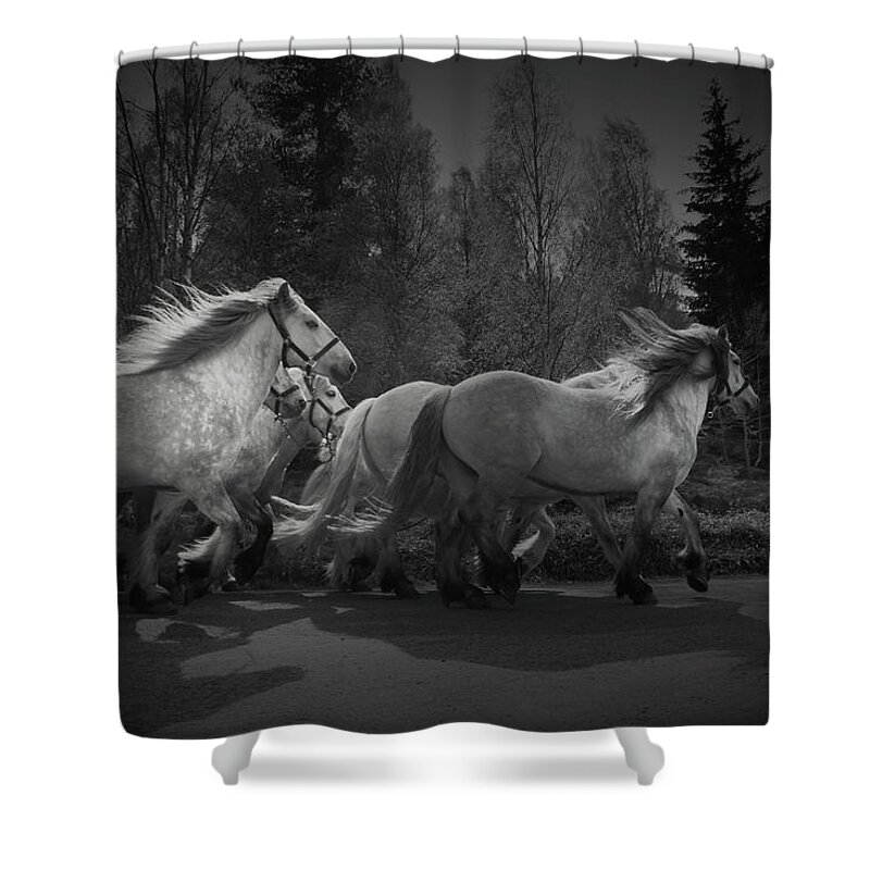 Horse Shower Curtain featuring the photograph The Queen's Horses by Dorit Fuhg