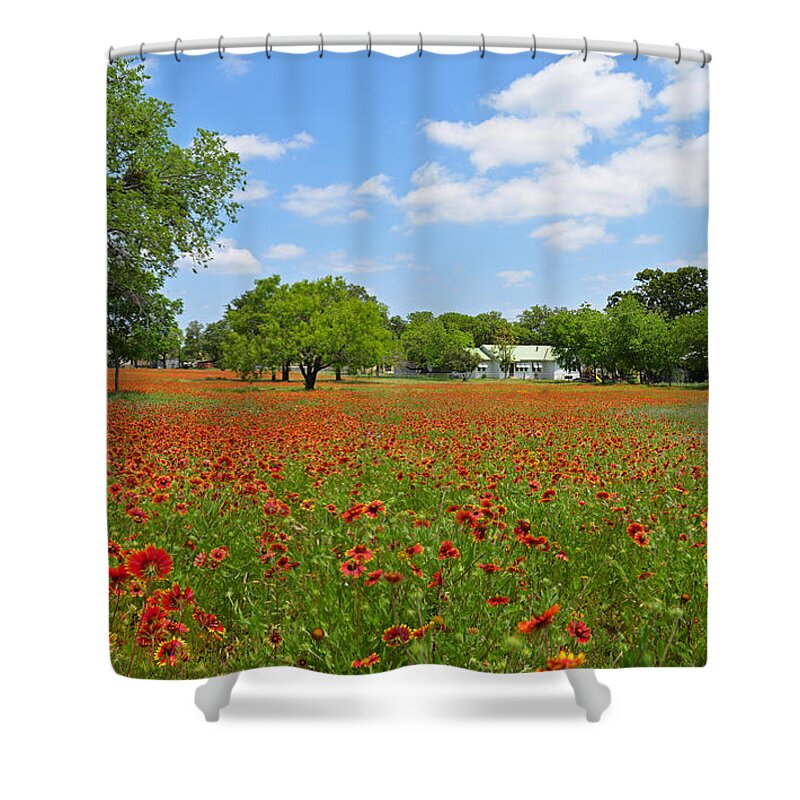 Flower Shower Curtain featuring the photograph The Red Carpet by Lynn Bauer