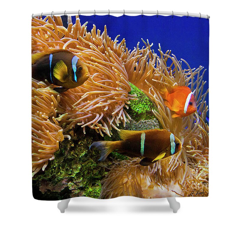Reef Shower Curtain featuring the photograph The Reef-Signed-#5180 by J L Woody Wooden