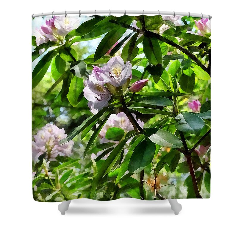 Rhododendrons Shower Curtain featuring the photograph The Rhododendrons Are In Bloom by Susan Savad