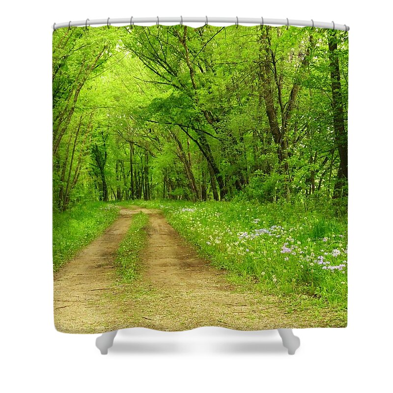 Roads Shower Curtain featuring the photograph The Road Less Traveled by Lori Frisch